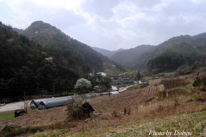 8. 경상북도영양군농촌체험하기좋은 대티골마을 농촌관광코스 서석지 산촌박물관 삼지동모전석탑