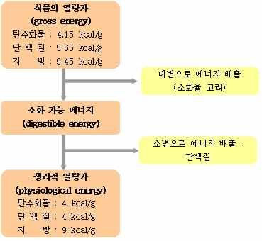 (2) 영양소함량분석에의한방법 v 식품성분표 ( 탄, 단, 지 ) 의함량에각영양소 1g 당생리적에너지가곱한후모두더하면식품의총에너지함량이됨