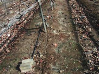 나 ) 단점 토양물리성이악화되고경사지의토양이침식되며, 토양입단구조가파괴된다.