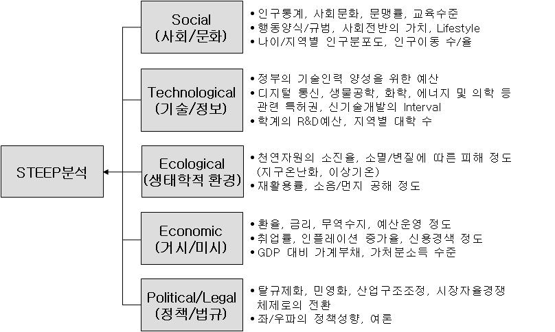 제 1 장. Key Analysis Tool 고판단될경우환경분석을제외하고 PEST 분석을실시한다. PEST분석통해각요인들이사업에미치는경로와충격의크기를이해하여대책을수립, 실행하는것이중요하다. 2-1-2. STEEP Analysis < 그림 > STEEP 분석시고려사항 출처 : M.