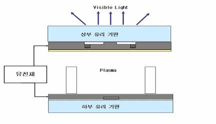 6. 유전체재료 ( 1) 개요 유전체는상 하부유리기판의전극위에코팅되어 Plasma 발생시유지전극의보호와가시광선의투과및반사등의역할을수행하는필수적인소재임 - PDP 유전체에는상부유리기판에투명유전체가있으며, 하부유리기판에백색유전체가각각형성되어있음 P D P 내유전체의구조도