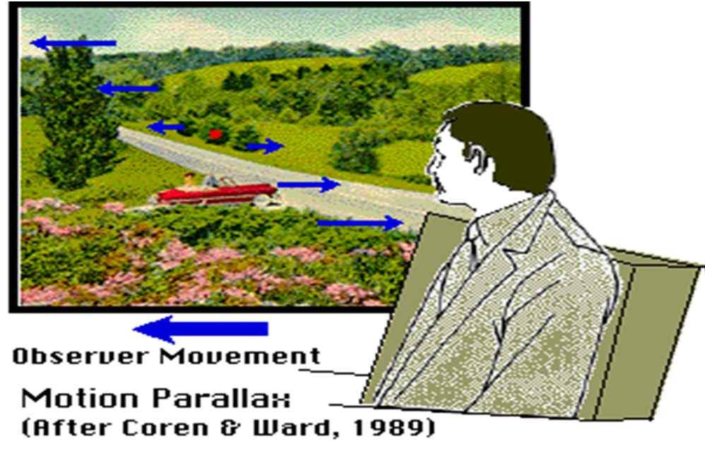 Monocular Depth Cues: Motion parallax Motion Parallax provides perceptual cues about difference in distance and motion, and is associated with depth perception.