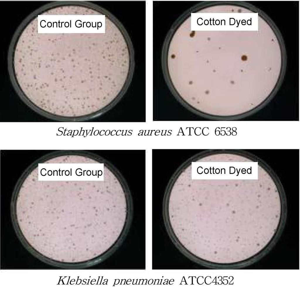 곰보배추추출물로염색한면직물의자외선차단율, 소취성및항균성 385 Fig. 7. Antimicrobial activity of cotton fabrics dyed with Salvia plebeia R. Br. 4.
