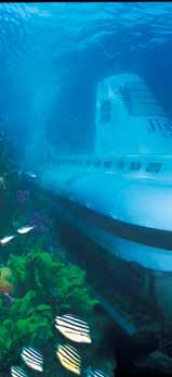 마라도잠수함 / 서귀포잠수함우도잠수함 / 해적잠수함잠수함지아호를타고해저 10m 의다양한해조류들과 30m 의맨드라미산호초군락을감상할수있다.