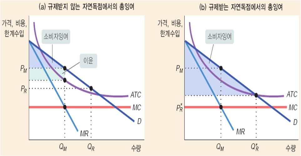 제 14 장독점 (http://blog.daum.