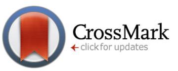 1. Crossmark 개요 1) The CrossMark update system is an optional service of Crossref, a not-for-profit trade association of scholarly publishers that facilitates reference linking and other sustainable