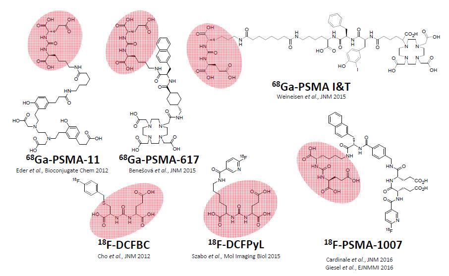 PSMA-ligand