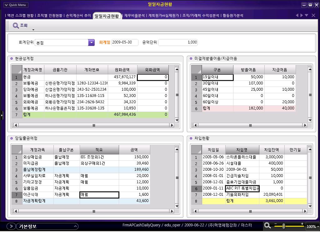 시스템적용방안 - 회계관리 일일자금현황