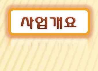 개별박람회참가지원 지원대상 : 도내중소기업및전북상품유통업체 (70여개사정도 ) 사업비 : 300백만원 ( 국내박람회 50백만원포함 ) 사업내용 -