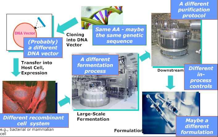 생물의약품 GMP 추가점검사항 Cell culture and Fermentation MCB/WCB 배지관리 Culture Growth 접종, 배양, 발효과정관리 오염방지조치 (contamination control) Extraction,