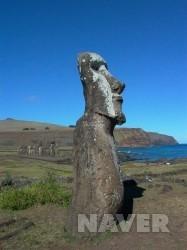 < 모아이 (Moai)> 칠 레 영 절 해 고 도 이 스 터 아 일 랜 드 에 라 파 누 이 長耳족 이 1,250~1,500 년 경 에 세 운 거대 한 석 상 들 무 슨 이 유 로 조 각 했 고 그 육 중 한 석 상 들 을 어 떻 게 옮 겼 는 지 아 직 도 미