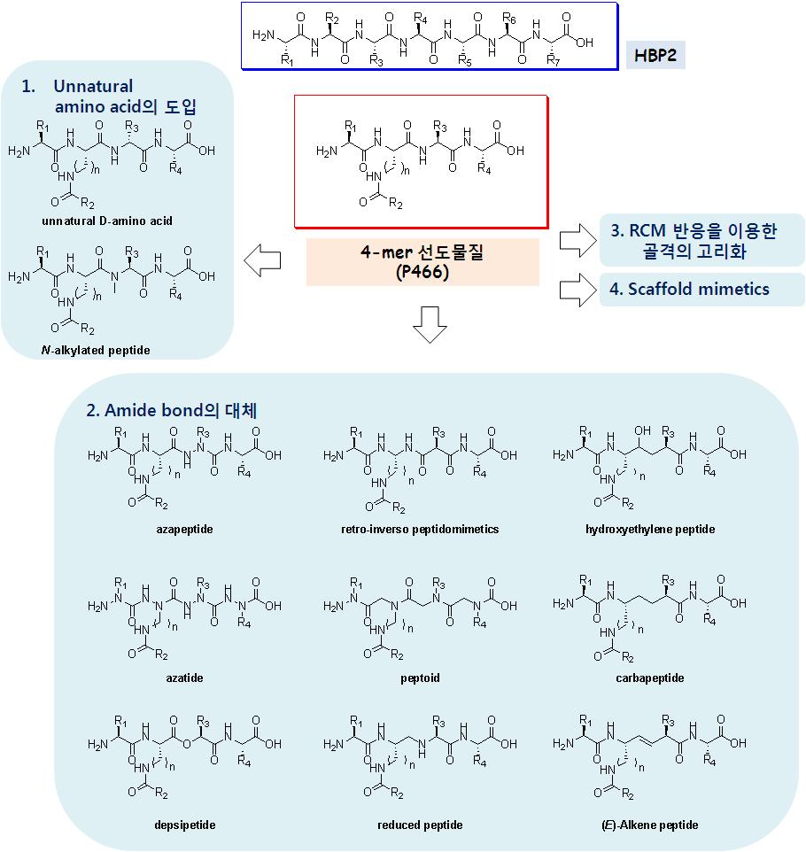 conformational flexibility를보임. 따라서, 1단계연구에서는이미확보된 4-mer 선도물질 (P466) 을토대로하여 amide bond를변형한펩티도미메틱화합물을합성하고자함. 이 amide bond의변형을통해얻어진펩티도미메틱화합물은생체내안정성이증가되고저분자화합물의물성을가질수있음.