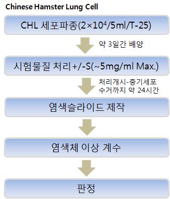 박테리아를사용하는돌연변이시험으로서 Bruce N. Ames가개발한살모넬라 (Salmonella typhimurium) 를사용한 Ames 시험이가장널리쓰이며, 어떤특정한아미노산이없으면사멸하는변이형균주가화학물질등의처치에의해아미노산이없더라도생존 증식할수있는야생형으로되돌아가는복귀돌연변이를지표로하는검출계임.