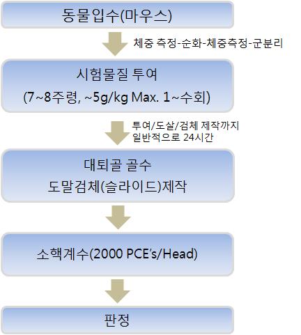 체내소핵시험 소핵시험은설치류등의동물을이용하여화학물질등이염색체에미치는영향을신속하고간편하게검출할수있는방법임. 설치류골수중의유약적혈구에출현하는소핵을지표로하여시험물질의염색체이상유발성을 in vivo에서평가하는것으로다음과같이수행됨. 그림 27.