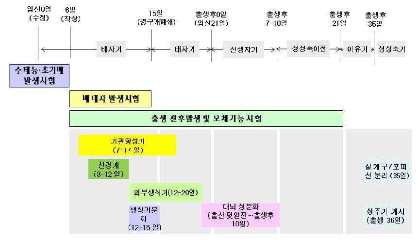 그림 28. 랫트의발생단계별표준시험법분류 생식독성시험 생식능력에대한독성을평가하는항목으로, 수컷군은약 70일간투여, 암컷군은 14일간투여후교배를임신기간중 50 % 를희생시켜착상, 수정이정상적으로일어났는지를확인함. 나머지는수유기가지난후새끼를희생시켜발달과정등이정상적인지를확인함. 만약발달과정에대하여이상징후가보이면, 최기형성에대한시험을추가함.