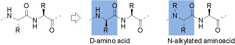 표 9. Peptidomimetic chemistry Peptidomimetic chemistry 1.