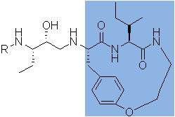 - reduced peptide bond - azapeptide - retro-inverso peptide - peptoid 2.