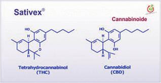 Sativex 임상시험들에서표적적응증에대한긍정적결과가입증되긴했지만당장의안전성우려는합성의약품과의경쟁에서상당히불리하게작용함.