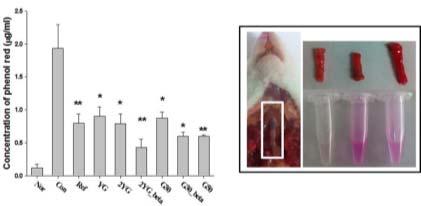 Effect of YG & G series on phenol red secretion in vivo. The value were presented as means ± S.D. *p<0.05, **p<0.01 significantly different from the control group.