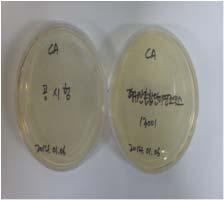 배양시간배양온도 대두카제인소화액체배지 만니톨나트륨한천배지 배양시간배양온도