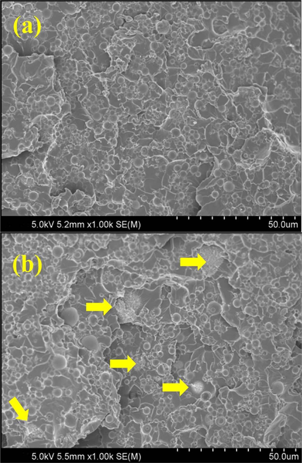 310 Ryun Oh, Byeong Il You, Ji Ho Ahn, Gyo Woo Lee Fig. 3. Fracture surface images for specimens containing 0.4 (a) and 0.8 wt% (b) carbon nanotubes filler.