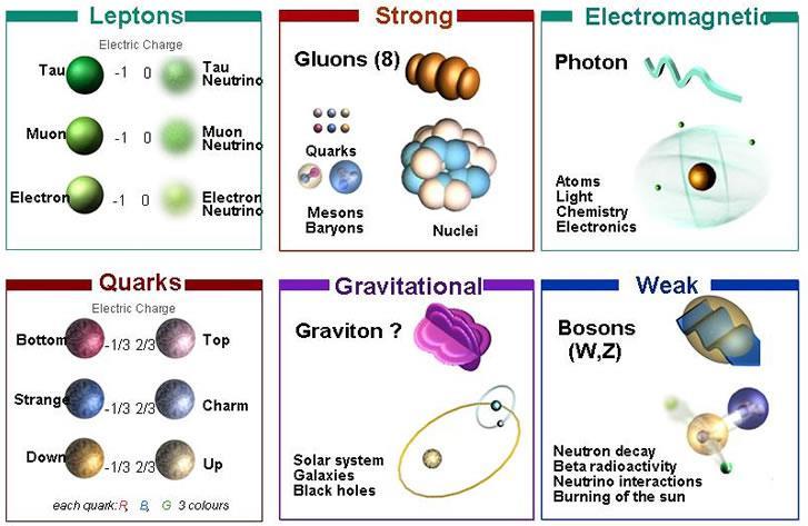 구분 입자이름, 기호 질량 [MeV] 스핀전하량발견년도 electron, e 0.