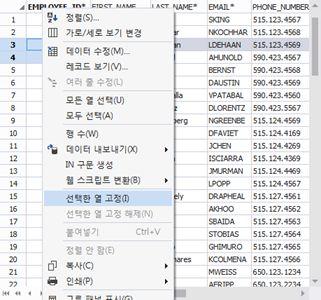 SQLGate for Tibero Developer User Guide --- 102 선택한열고정하기 데이터그리드에서선택한열로고정하기를설명합니다. 1. Tibero 데이터베이스에접속합니다. 2. 주메뉴파일 > 새로만들기 >SQL 편집기를실행합니다. 또는새로만들기도구모음에서 SQL 쿼리편집기를클릭하거나 Ctrl+N 를누릅니다. 3. SQL 을작성합니다. 4.