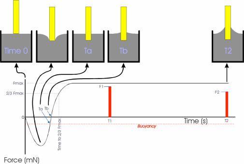 2. Wetting Balance Solder Pot 수십년전부터사용되던 Dip & Look 평가는빠르고쉬울뿐만아니라저렴하게적용할수있지만반복성과재현성측면에서는좋지않은평가를받고있습니다. 동일한환경및절차로진행하더라도담당엔지니어의주관적인해석이포함되어결과가다르게나올수있기때문입니다.