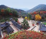 코스의 봄내길 과 김유정의 대표소설 <봄봄>과 <동백꽃>의 배경마을, 김유정 문학마을 의암호 물레길 따라