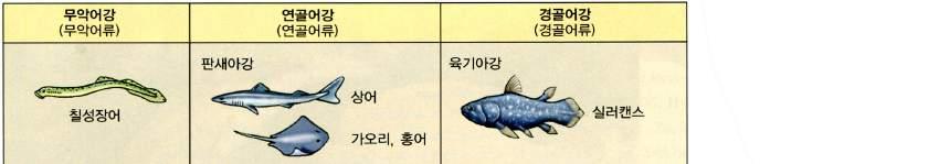 2016 중등교원해양생물교육직무연수 NATIONAL MARINE BIODIVERSITY