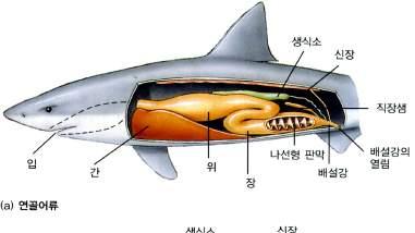 2016 중등교원해양생물교육직무연수 NATIONAL MARINE BIODIVERSITY INSTITUTE OF KOREA