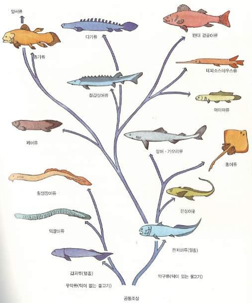 2016 중등교원해양생물교육직무연수 NATIONAL MARINE BIODIVERSITY