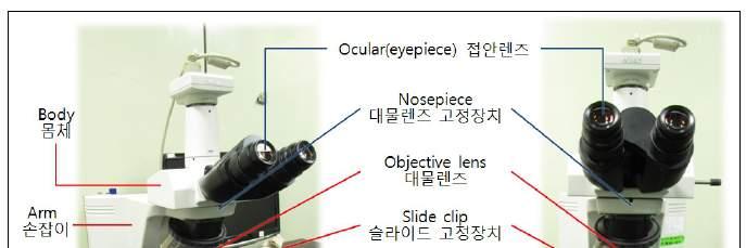 2016 중등교원해양생물교육직무연수 NATIONAL MARINE BIODIVERSITY INSTITUTE OF KOREA