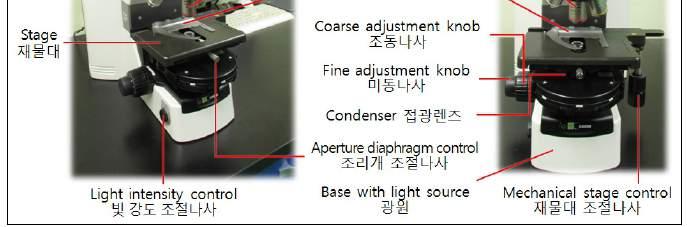 2) SR 챔버 (Sedgwick-Rafter chamber) 사용법 식물플랑크톤동정 ( 정성) 및계수 ( 정량)