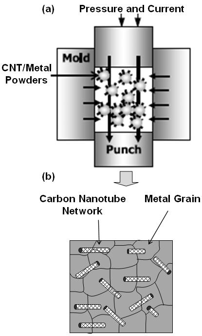 그림 3. TEM microstructures of carbon nanotube/metal nanocomposite powders, (a)carbon nanotube/cu nanocomposite powders, 19 (b) carbon nanotube/co nanocomposite powders, (c) HRTEM Image of carbon