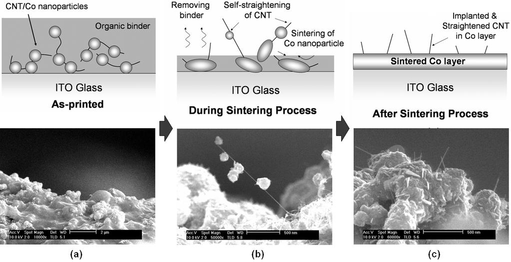 그림 8. Fabrication process of CNT/Co nanocomposite field emitters.