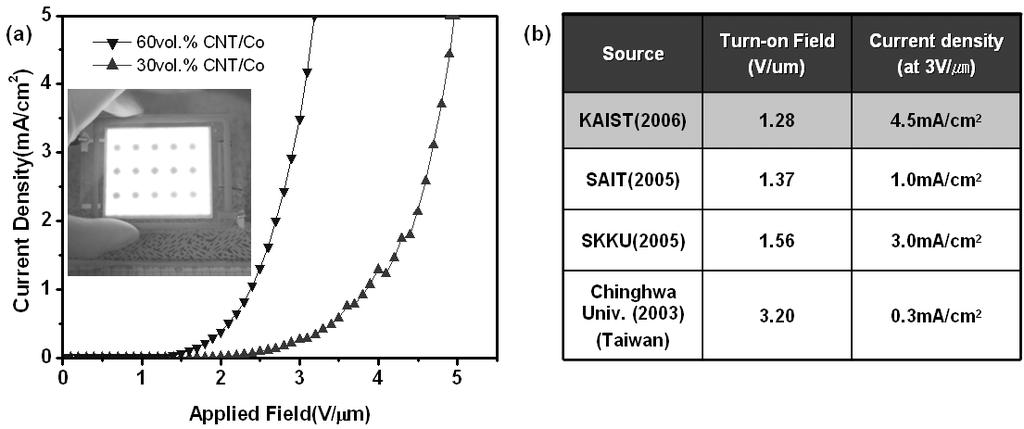after sintering process. 23 (a) (b) 그림 9. Field emission properties of CNT/Co nanocomposite field emitters.