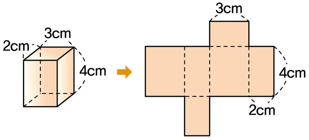 기본 직육면체의전개도 9 아래전개도의둘레의길이를구하시오.