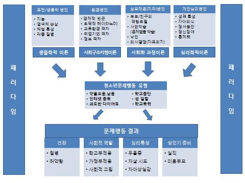 제 2 장 이론적배경및선행연구분석 상호작용 ( 지각 ) 변인, 개인심리변인으로보았다. 또한청소년문제행동의결과에대해서도건강, 사회적역할, 심리특성, 성인기준비로구분하여제시했다. 여기에서주목할것은청소년문제행동의원인을각변인으로보면서이를이론과접목시키고자했다는것이다. 예를들어, 환경변인은사회구조지향이론, 개인심리변인은심리학적이론등과연결시키려는시도를했다.