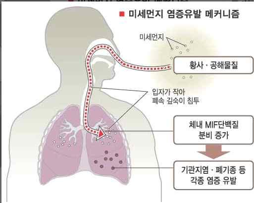 권고기준을만족할경우건강피해영향을약 이상저감 권고기준에따라연평균농도를 μg m3 μg m3 수준으로달성하면초과사망자수 만명에서 천명으로 감소가능 호흡기질환입원초과건수및만성기관지염진단초과건수도각각 감소가능 급성기관지염진단초과건수 감소 권고기준에따른수도권특별대책시행시 년인체피해저감효과추정 수도권특별대책시행여부구분시행효과미시행시행초과사망자수 세이상 명 명 감소