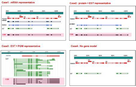 그림 6. Consensus gene model 만들기 이러한유전자모델을형성하는프로그램으로는 Tigr 에서공개소스로제공하는 EVModeler[9] 가있다.