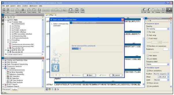 External Application of CLC Genomics Server.