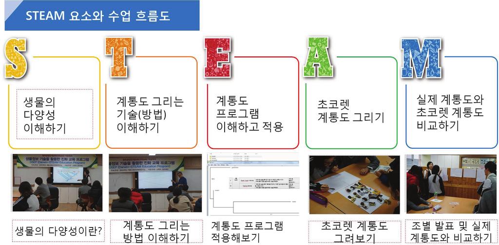 STEAM 아웃리치 프로그램 안내서(공통) 진화와 생물다양성 이해하기 1. 주제 개요 이 프로그램은 생물은 환경과 변이에 의해 다양하게 나타난다는 것을 이해함으로써 참여 학생들로 하여금 우리 주변의 다양한 생물에 대해 관심을 갖도록 한다. 다양한 생물을 구분하는 분류 체계를 이해하고 분류 기준에 따라 생물에 분류할 수 있도록 한다.