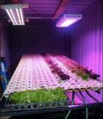 10.9 $3M Seed UrbanFarmers 2015.1.4 $2M Series A 자료 : FreightFarms 자료 : AgFunder 안전한식재료를통한건강유지, 가축배설물등환경오염과양육에따른비용 증가, 식량부족등의문제를해결하기위해대체식품에대한관심과개발증가 - 식용곤충 (edible insects) 은 1,900 여종으로추정되며곤충의영양적가치와