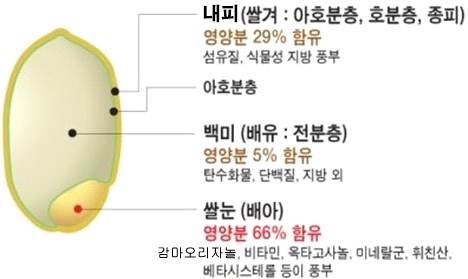 자연이주는최고의선물 SRB (Stabilized Rice Bran) 쌀의기원 - 쌀은보리 밀과함께세계적으로중요한농산물입니다. 세계총생산량의약 92% 는아시아여 러나라에서생산되며, 전세계인구의 70% 가주식으로이용하고있고, 유일하게알러지가없 는가장안전한식품입니다.