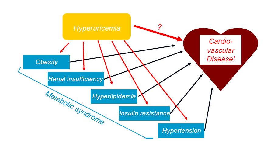 Co-Morbidities and Hyperuricemia: A