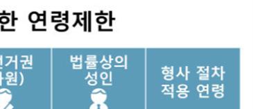 7년이상미국시민권소지자이며, 해당선거구거주자 로피선거권을제한하였다.