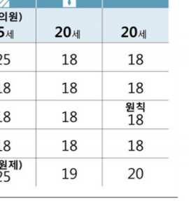 독일연방하원의경우 18세이상독일국민 으로제한하여선거권과피선거권의기준을동일하게유지하고있다.