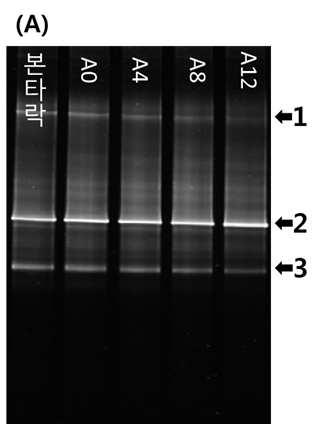 Band No. length closest type strain similarity 1 463 Pseudomonas congelans DSM 14939(T) 99.