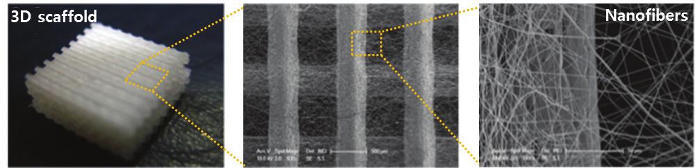 12 Fabrication of multiscale 3D printed scaffold integrated with electrospun nanofibers 21 이잘일어나기위한마이크로급의공극크기를갖는 3차원지지체에이러한나노구조를도입하는연구를수행하였다.